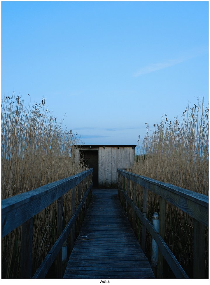 Fujify [Nikon] Lightroom Profile - Astia product image (2)