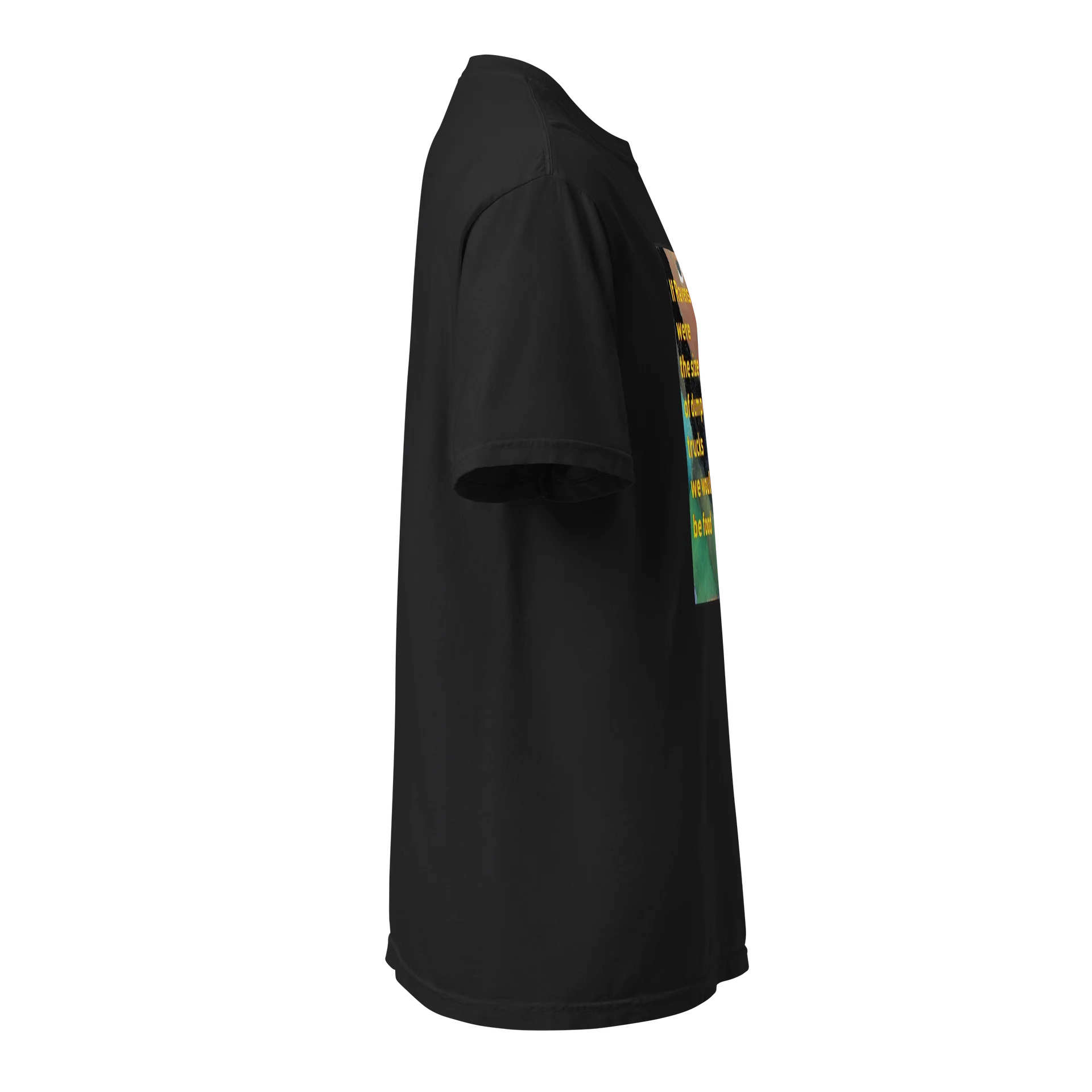 Sam the Raven product image (3)