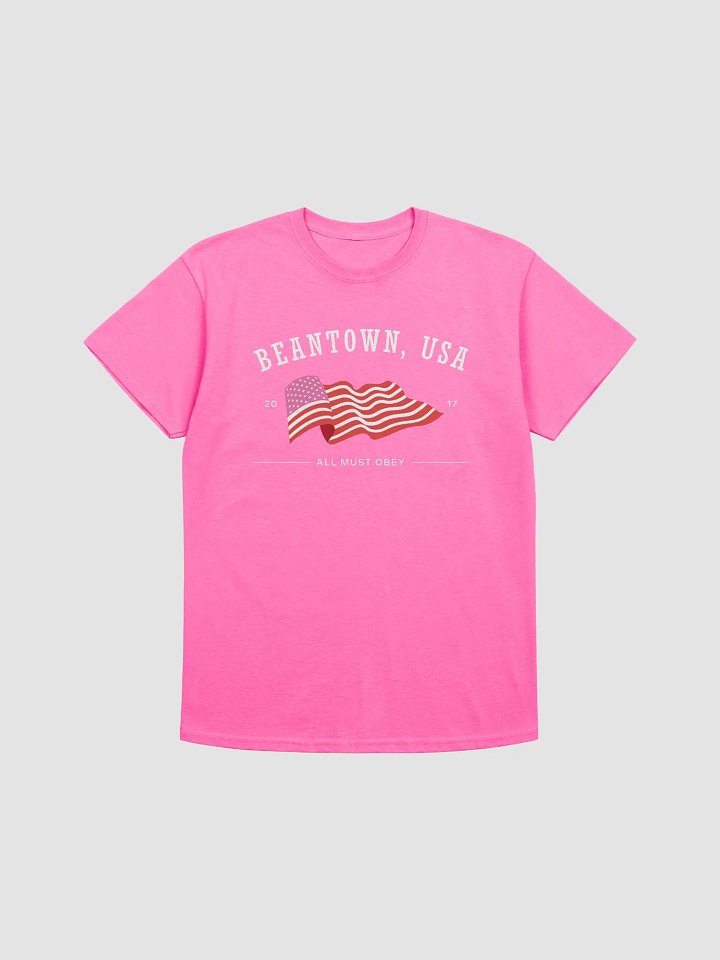 beantown, usa tourist shirt product image (3)