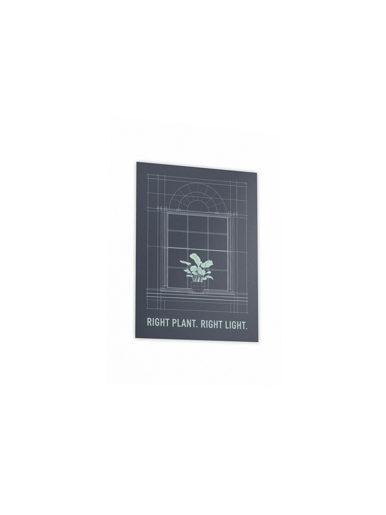 Right Plant. Right Light. — Print product image (3)