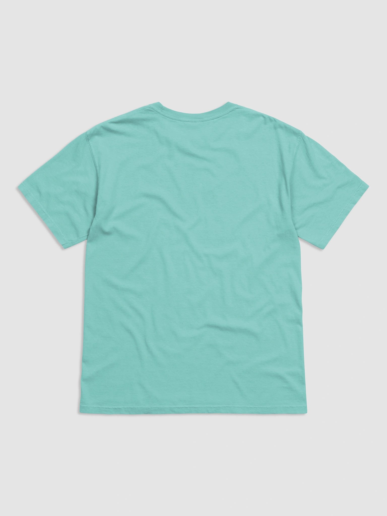 MONSTER UP : Comfort Colors Garment-Dyed Heavyweight T-Shirt product image (16)