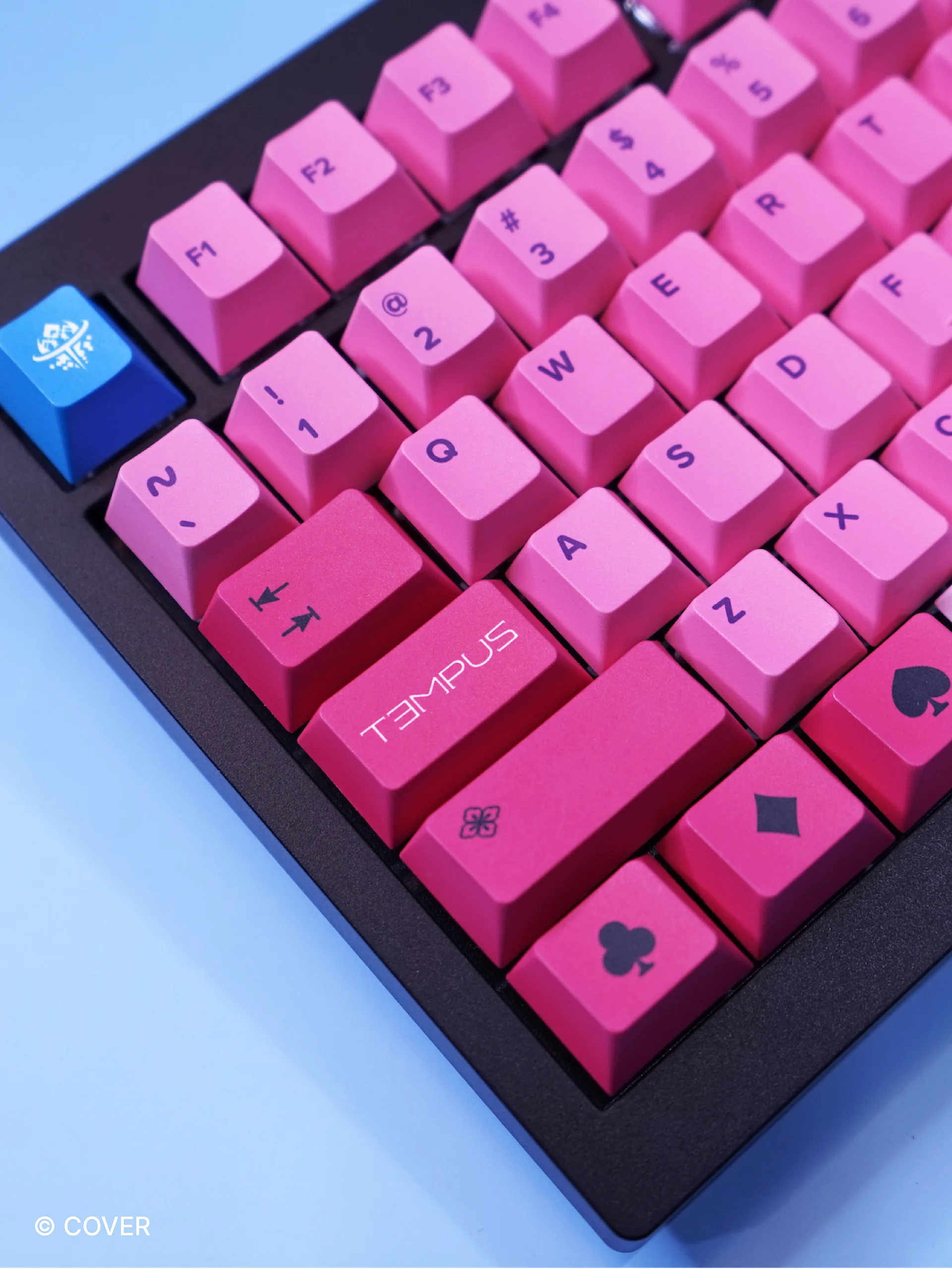 [PRE-ORDER] Gavis Bettel Keyboard product image (6)