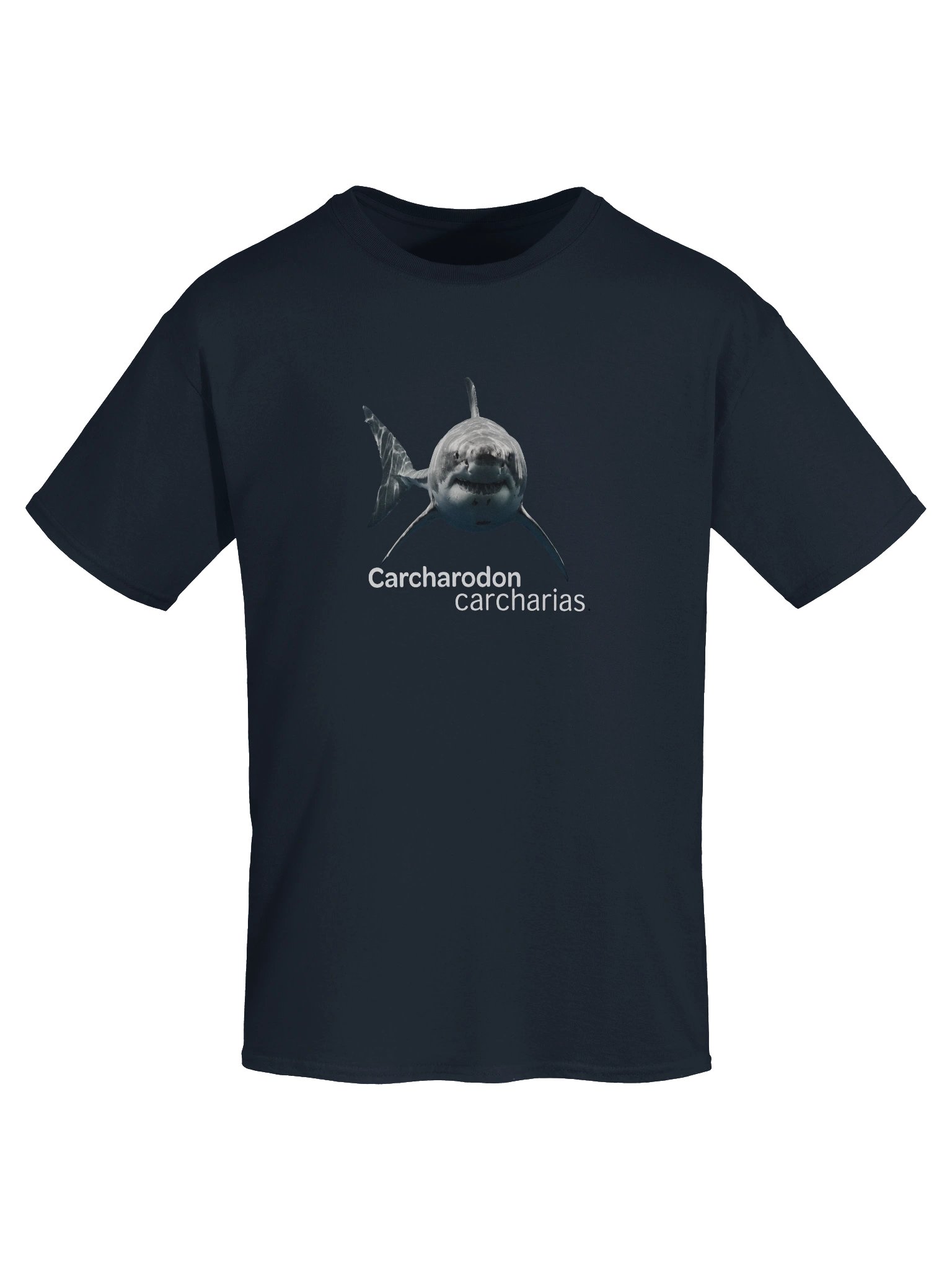 Carcharodon carcharias product image (7)