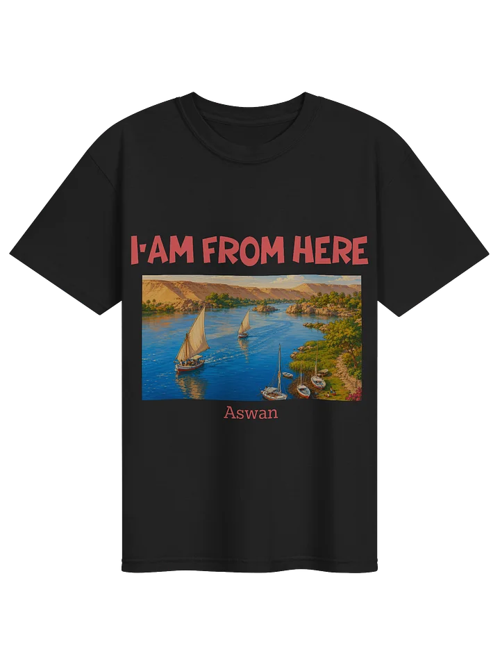 Aswan T-Shirt (Heavyweight Fabric) product image (1)