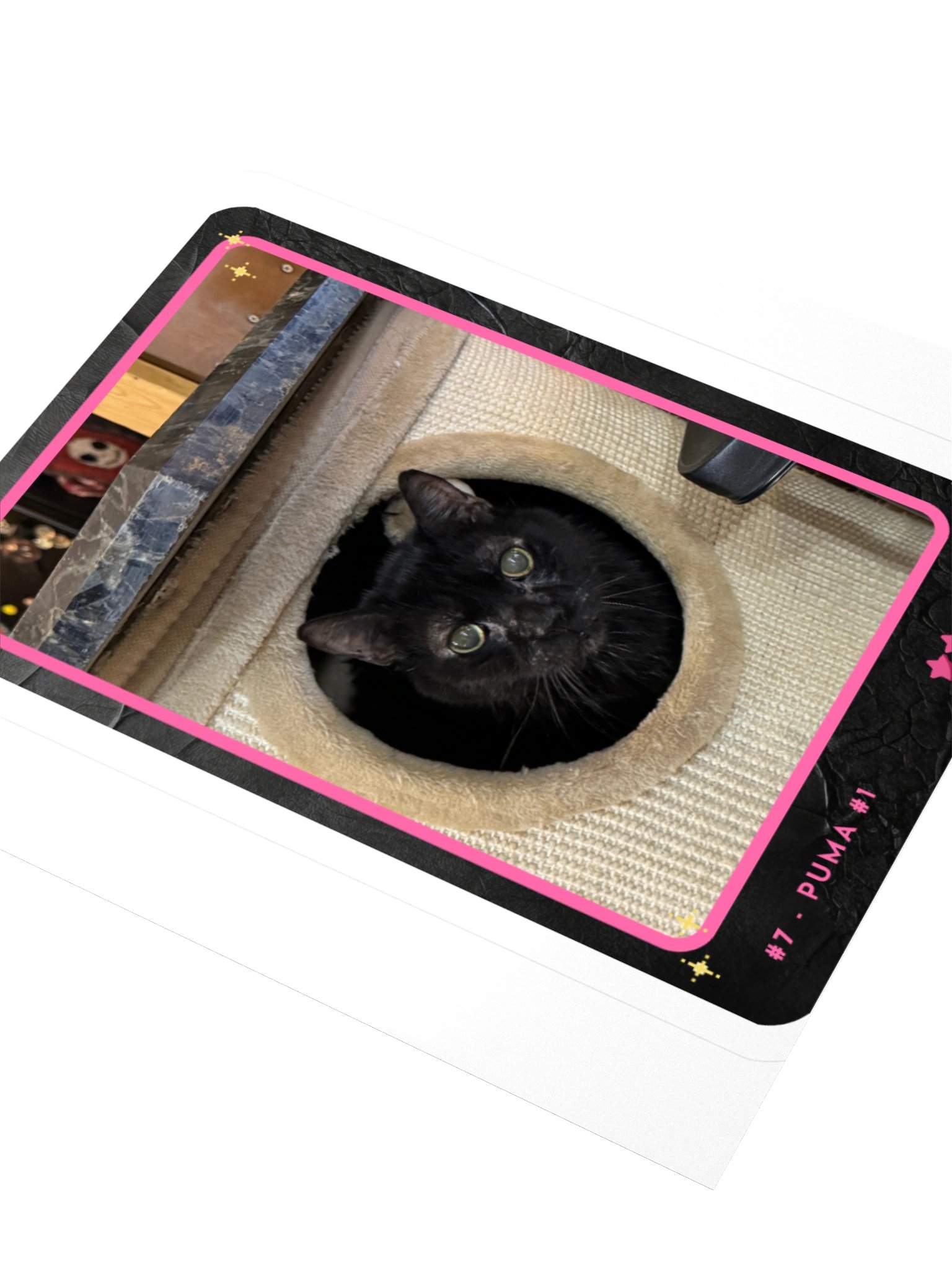 Channel Card 7 - Puma #1 product image (3)