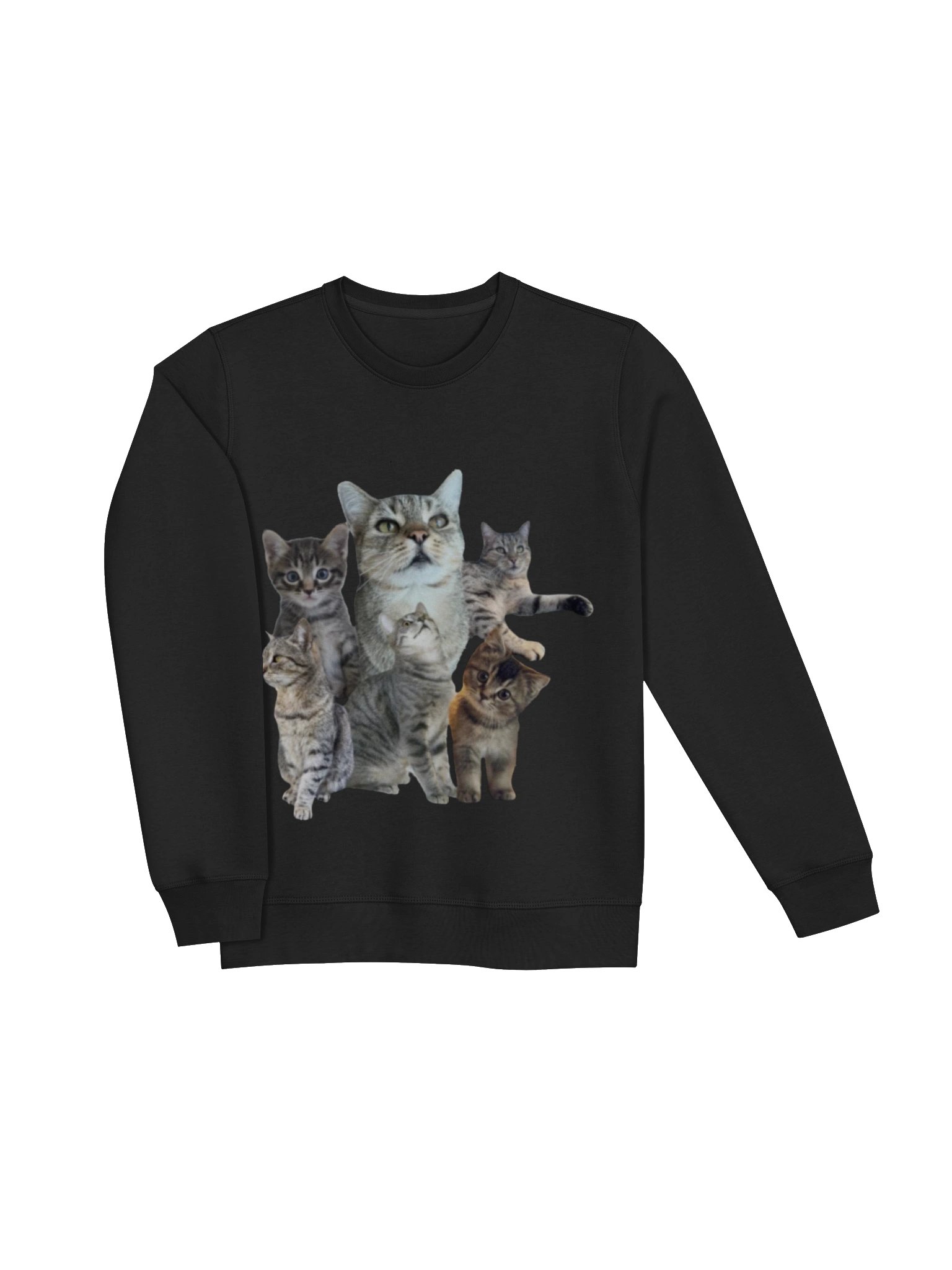 Cute Cats Graphic Crewneck Sweatshirt product image (14)