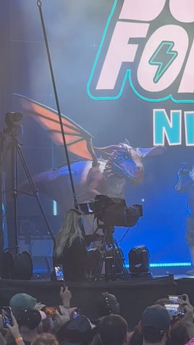 A Dragon? At a Bowling For Soup gig? Can’t get any better than that! #bowlingforsoup #cardiffcastle #cardiff #wales