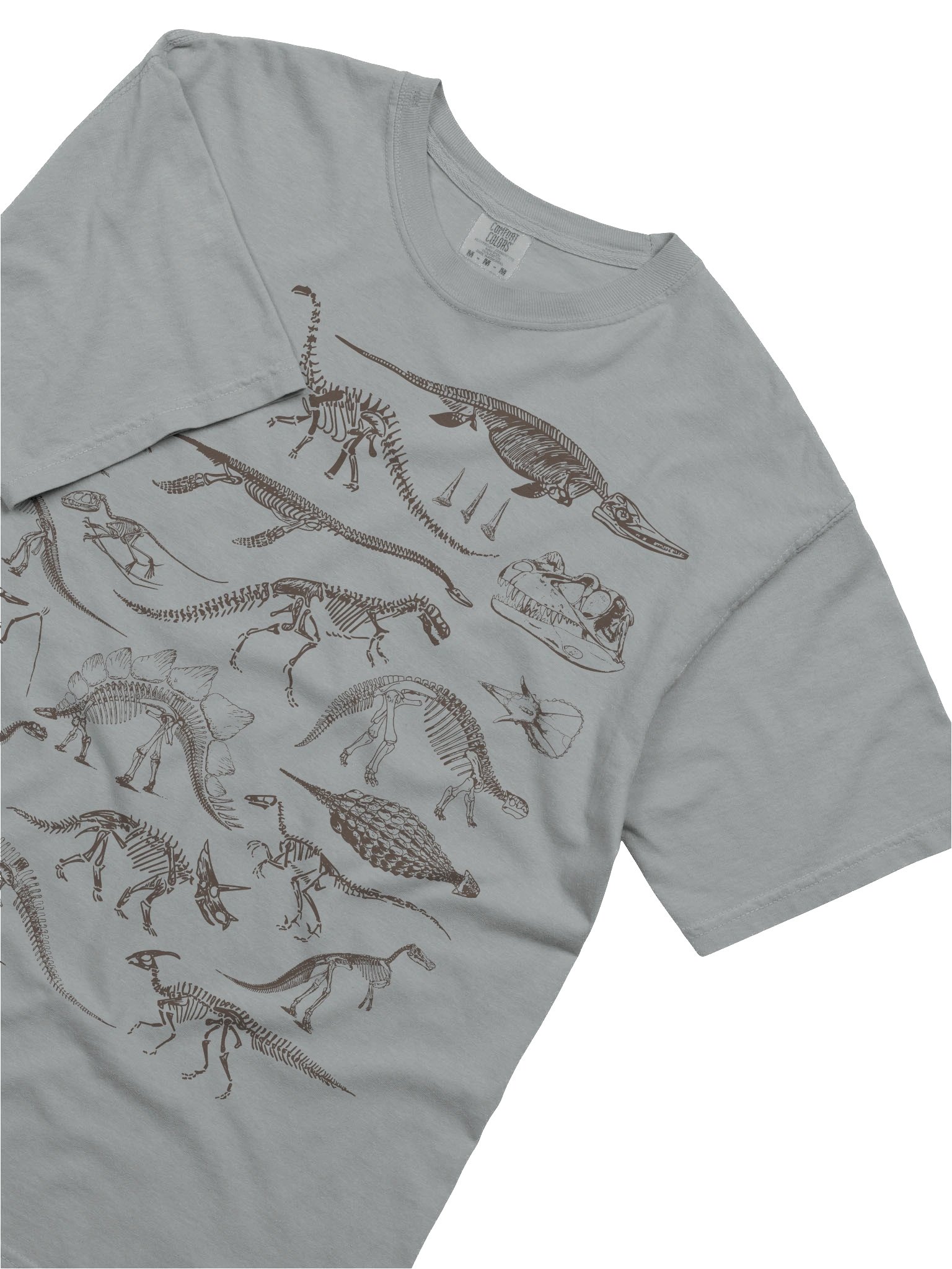 Dark Academia Dinosaur Skeleton Shirt – Vintage Fossil Bones Graphic Tee product image (2)