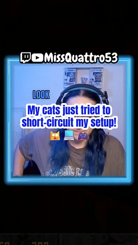 Cats Spilled My Drink on Stream 😭 #catonstream #gamingmoments #streamerlife #petinterruptions