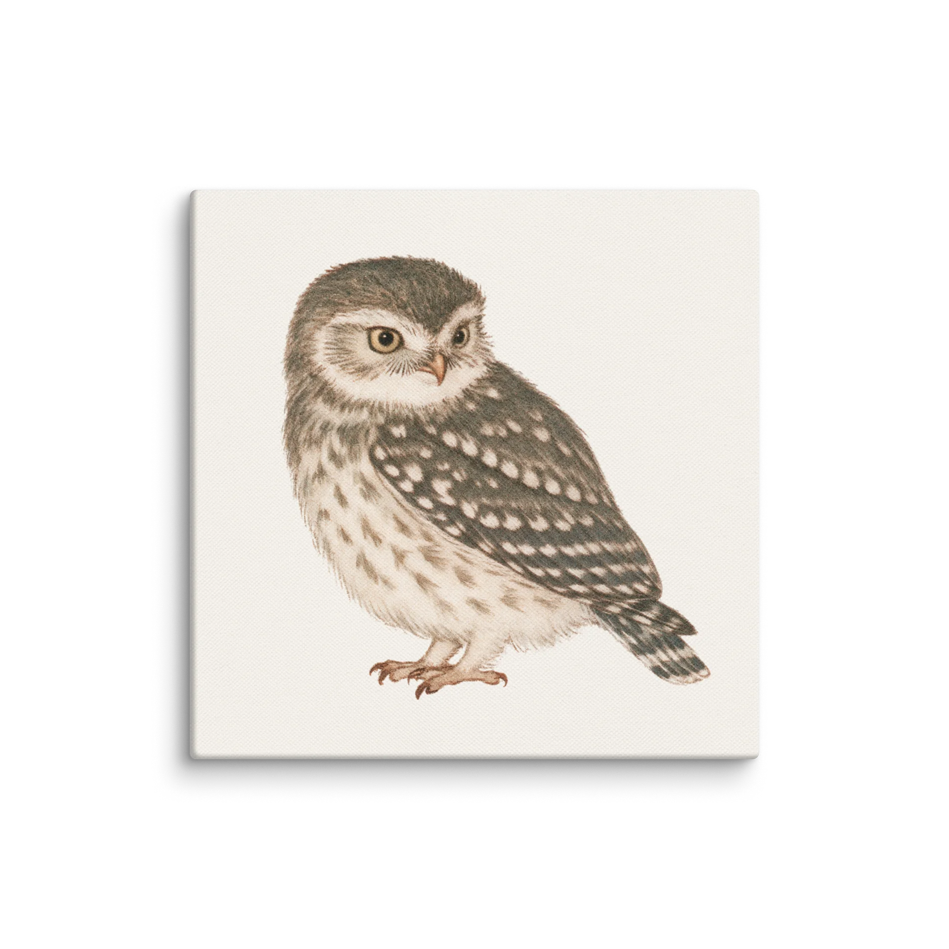 Owl Nursery Art product image (1)