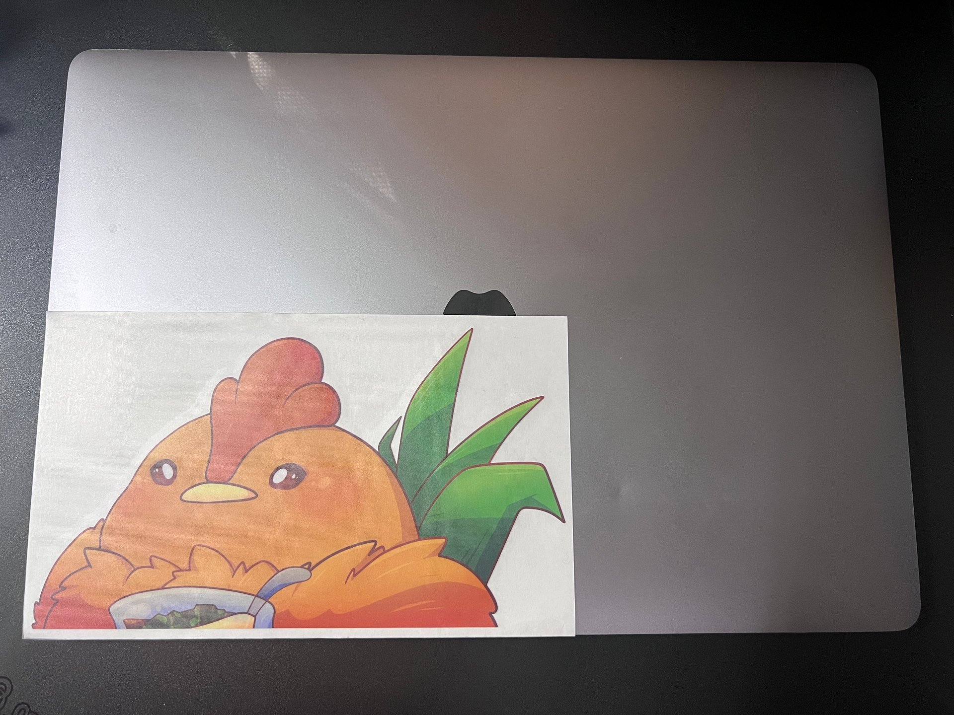 Zodiac Chicken/Rooster - Peeker product image (3)