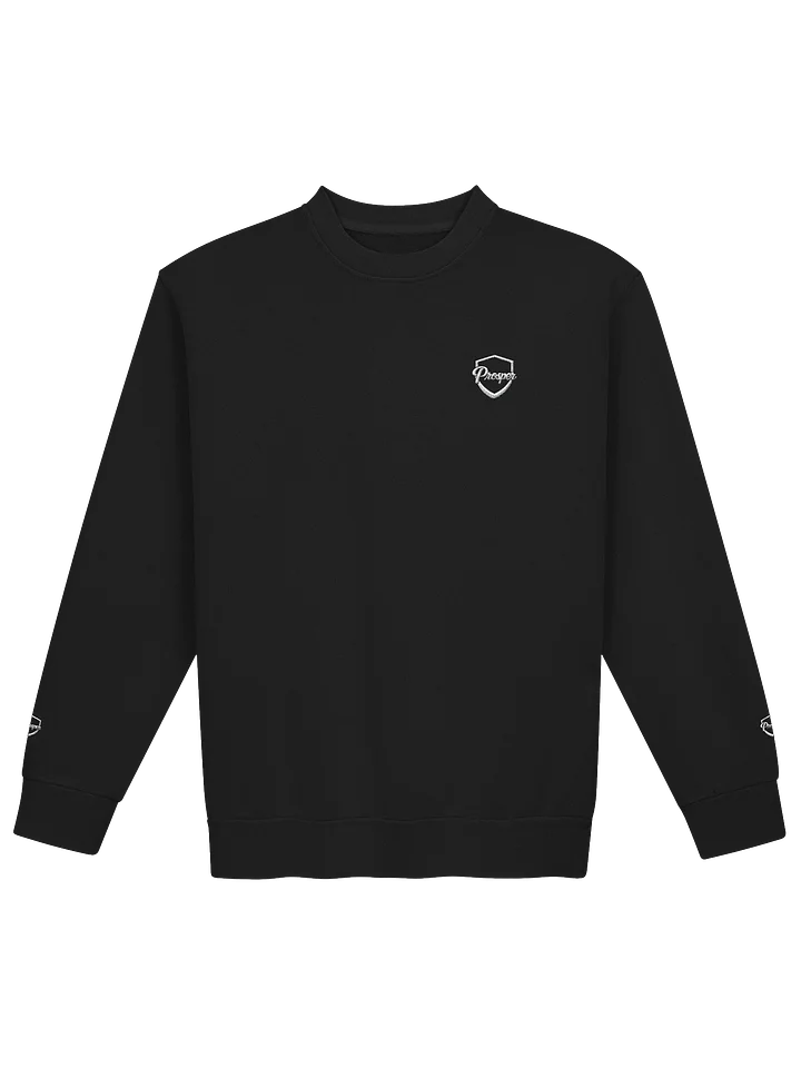 PROSPER Long Sleeve Sweater - Classy SHIELD product image (1)
