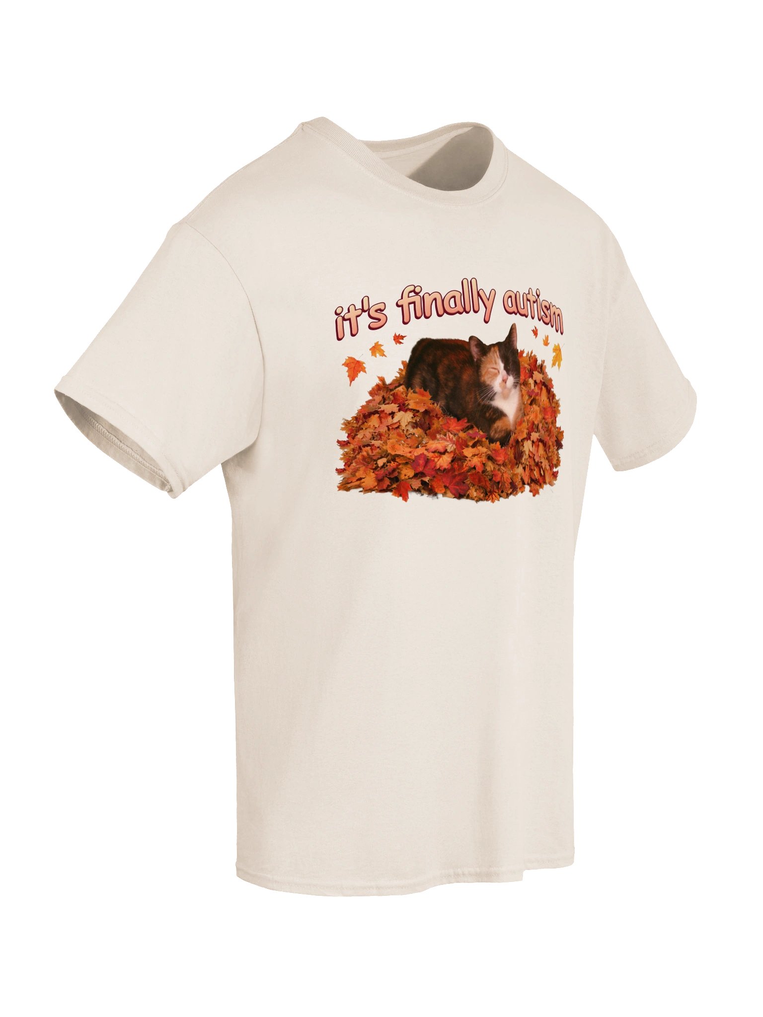 It's Finally Autism Autumn Cat T-shirt product image (6)
