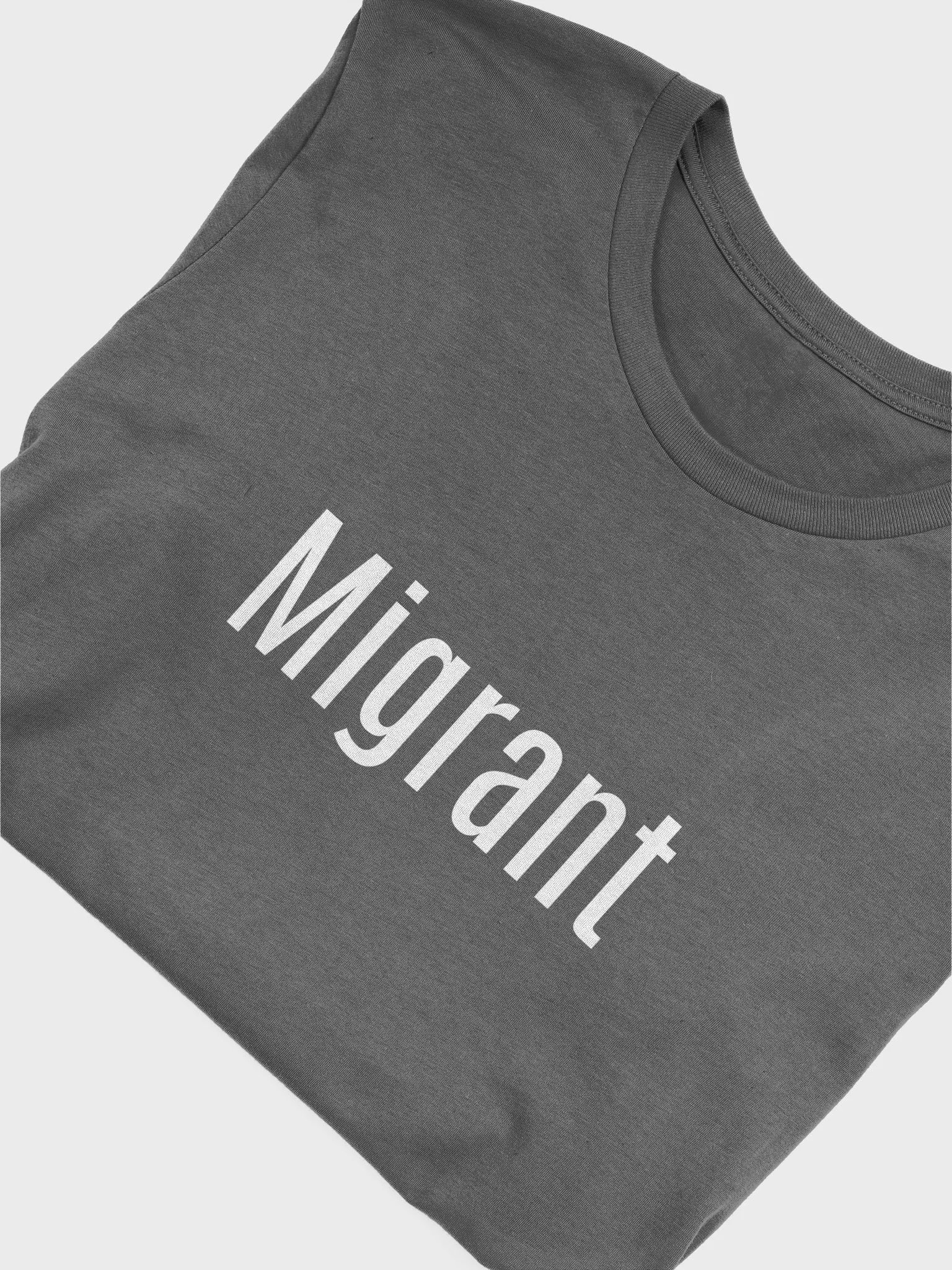 Migrant Solidarity T-Shirt product image (3)