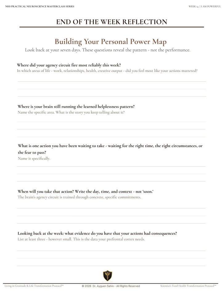 PERSONAL POWER AUDIT product image (2)