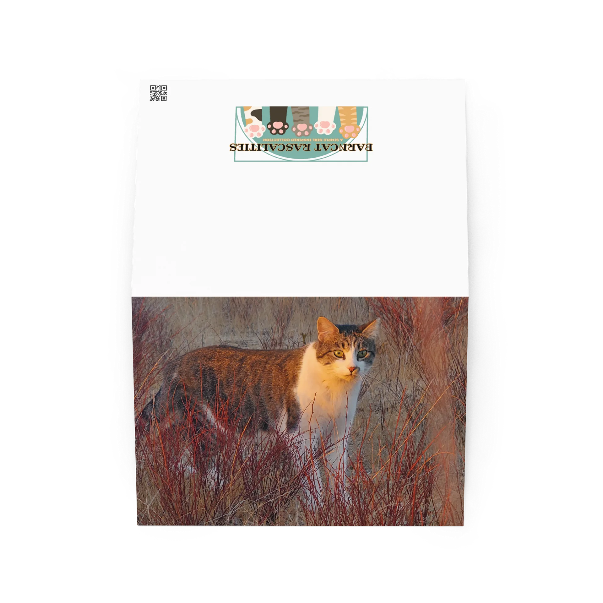 Sunset Banjo Greetings product image (2)