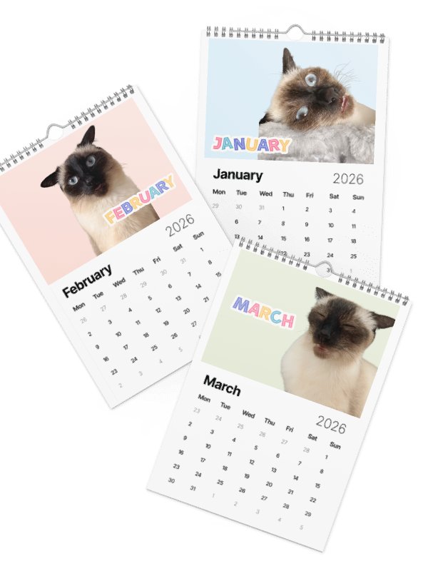 2026 Dobby Calendar product image (1)