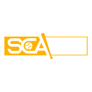 Scann