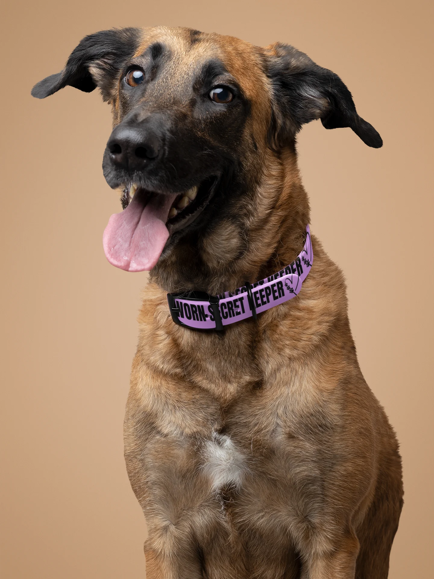 Sworn Secret Keeper Dog Collar & Leash Set product image (10)
