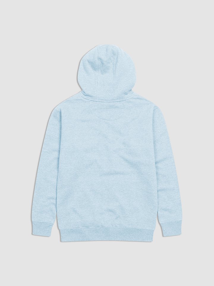 DMF House Hoodie product image (5)