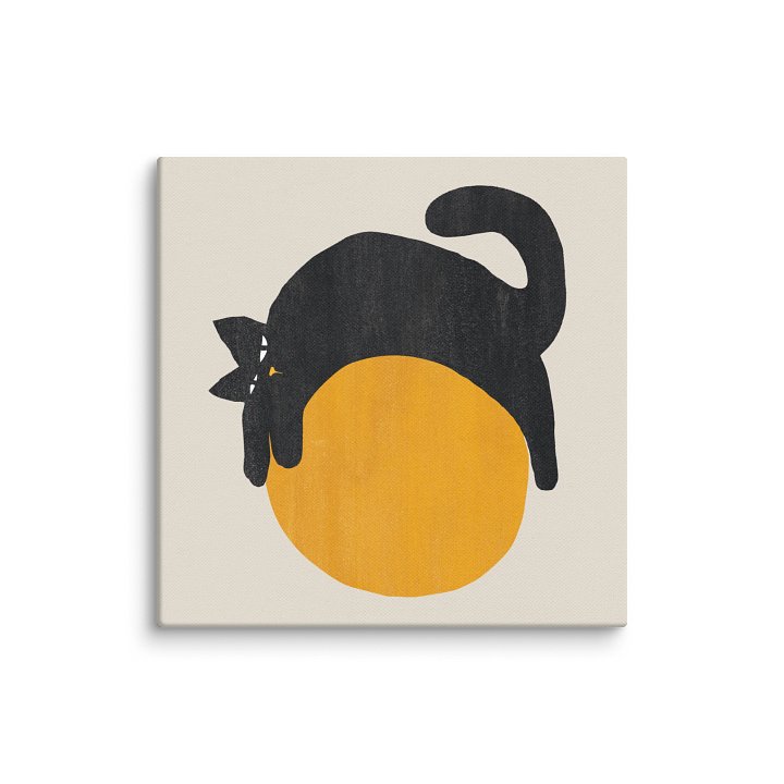 Lazy cat on a ball Canvas Art print product image (1)