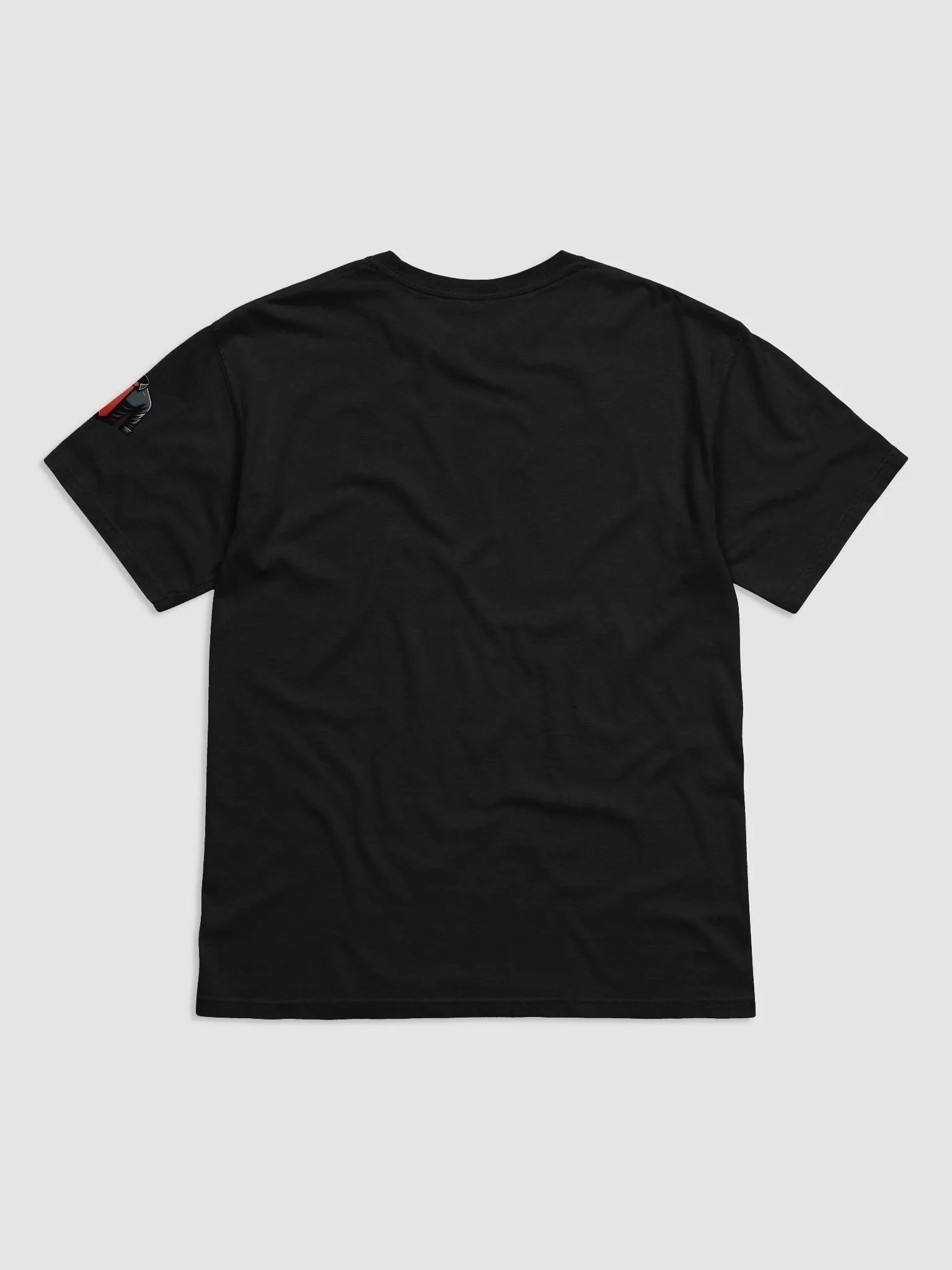 Raid Like a Prefessional product image (2)