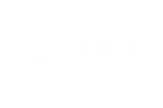 719Subarus