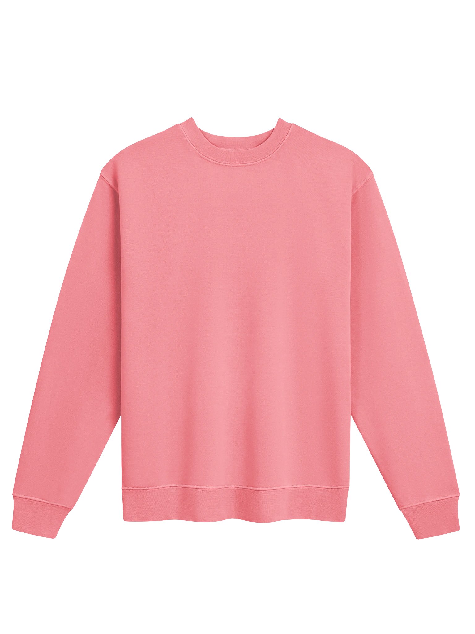 ICONIC Pride & Style Sweatshirt product image (4)