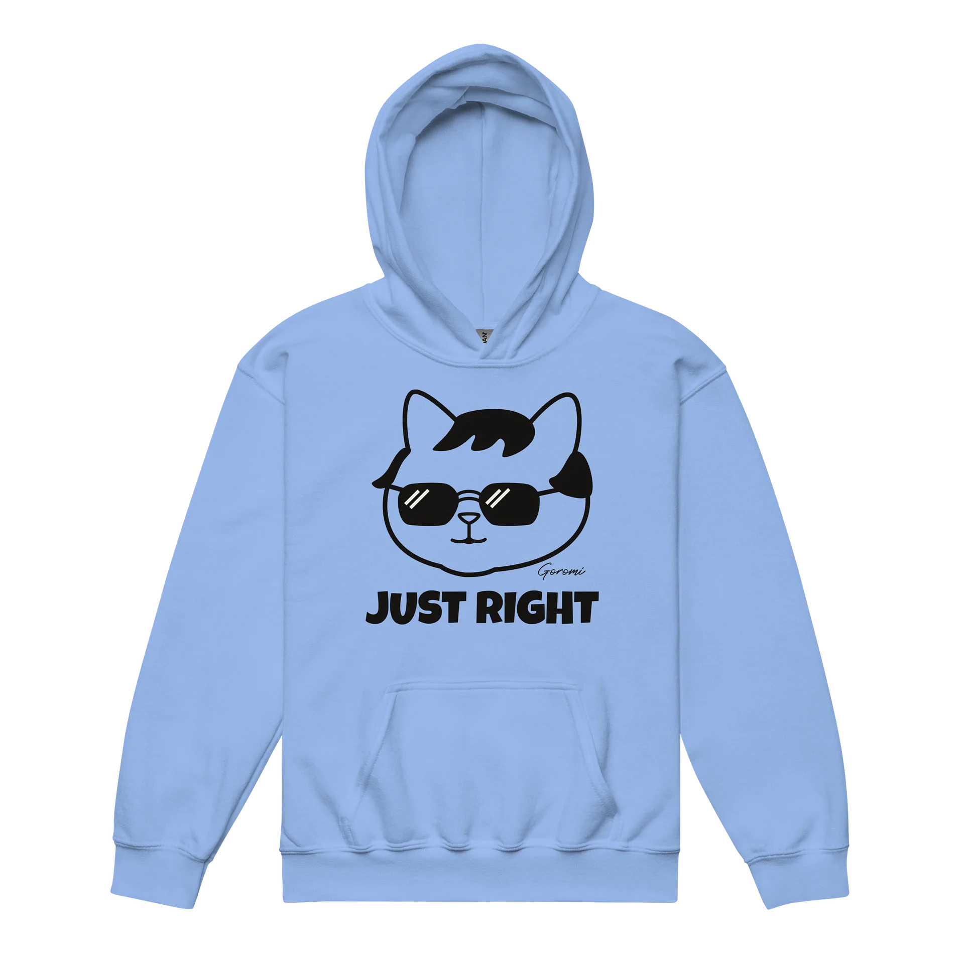 Goromi the Cat (JUST RIGHT) - Unisex Youth Hoodie product image (1)