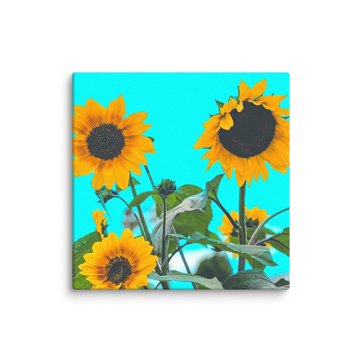 Sunflower Canvas product image (1)