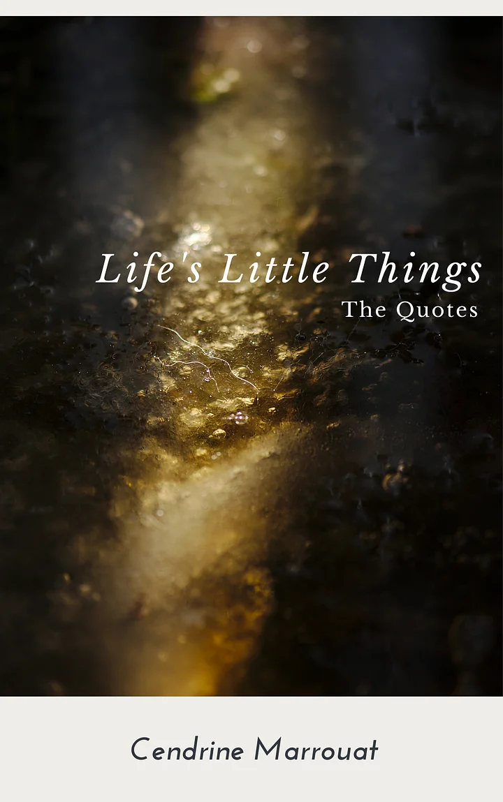 Life's Little Things: The Quotes product image (1)