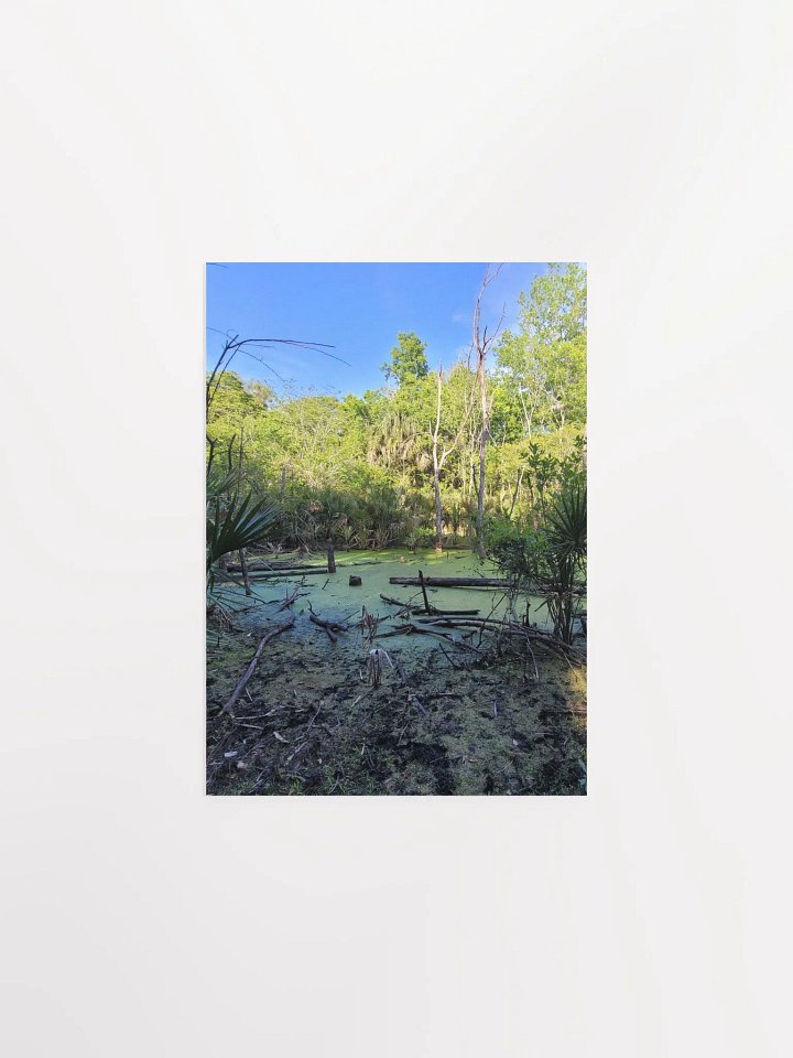 FL Swamp product image (3)