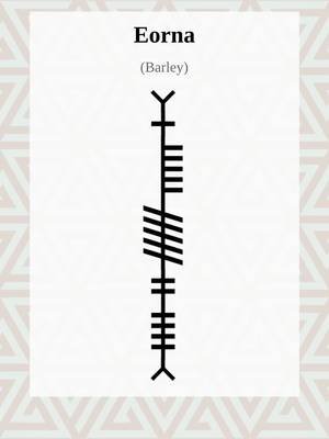 Ogham Word of the Day:eorna Explore more Ogham: The Ancient Irish 'Tree Alphabet' , Medieval history and linguistics at OghamLore.com. #Ogham #Ireland #fyp #gaeilge #WordOfTheDay