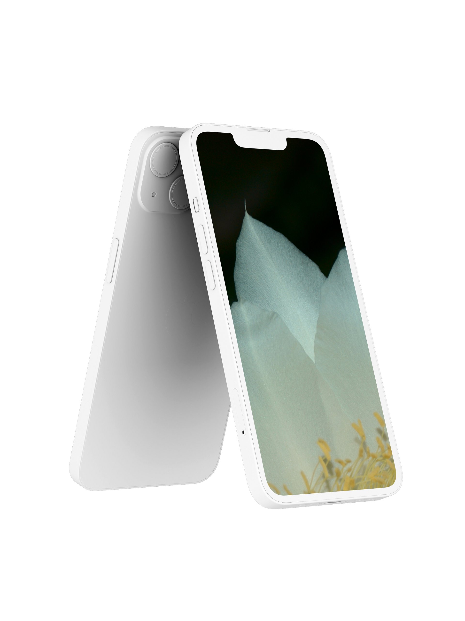 Night-Blooming Cereus Digital Wallpaper Set product image (2)
