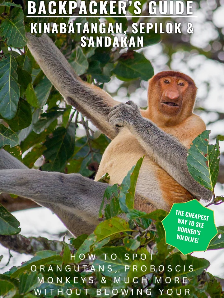 Backpacker’s Guide to Kinabatangan, Sepilok & Sandakan product image (1)