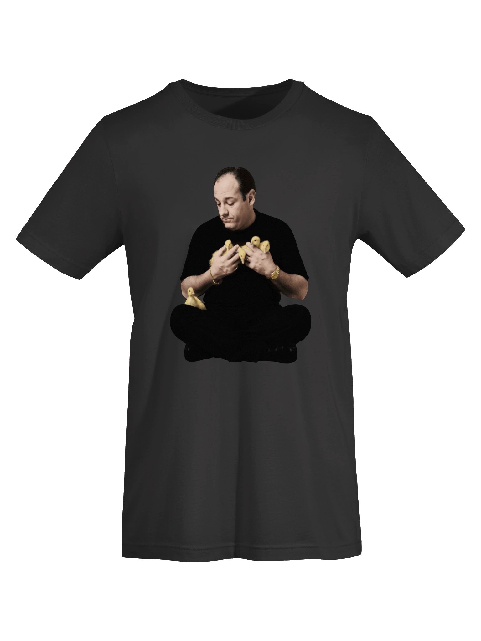 Tony & the Ducks — Supersoft T-Shirt product image (53)