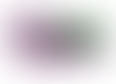 senior 2025's tag thumbnail