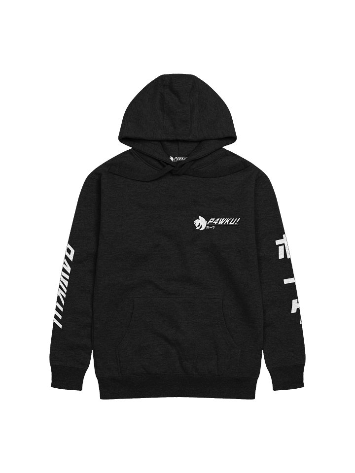 OFFICIAL TEAM P4WKU! HOODIE product image (1)