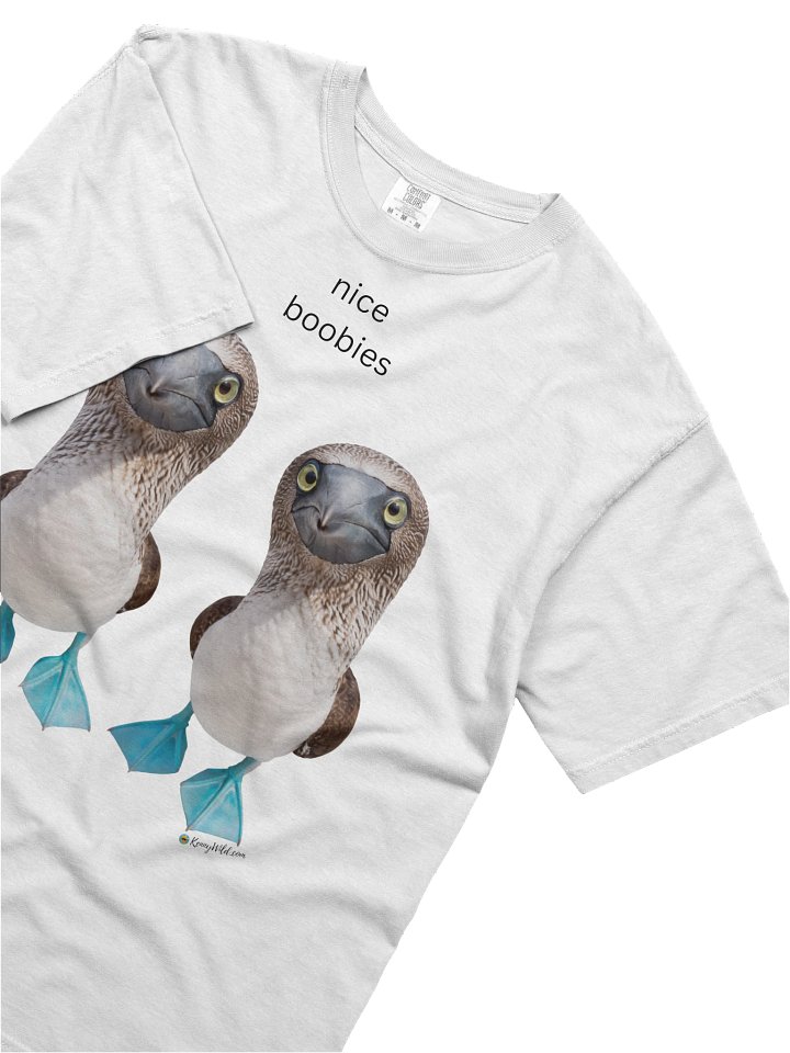 BLUE FEET product image (2)