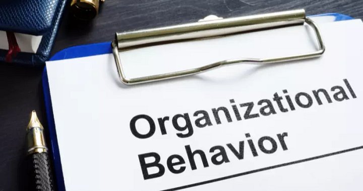 Organizational Behavior study notes product image (1)