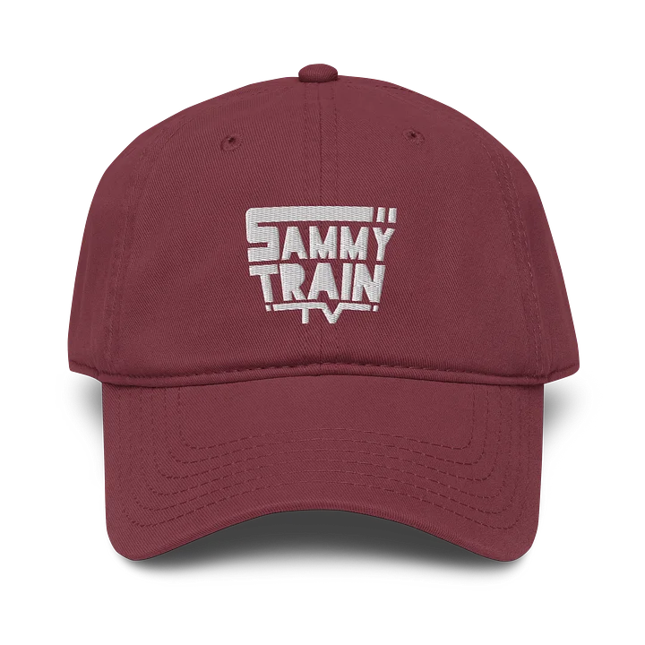 Logo Hat (Embroidered) product image (21)