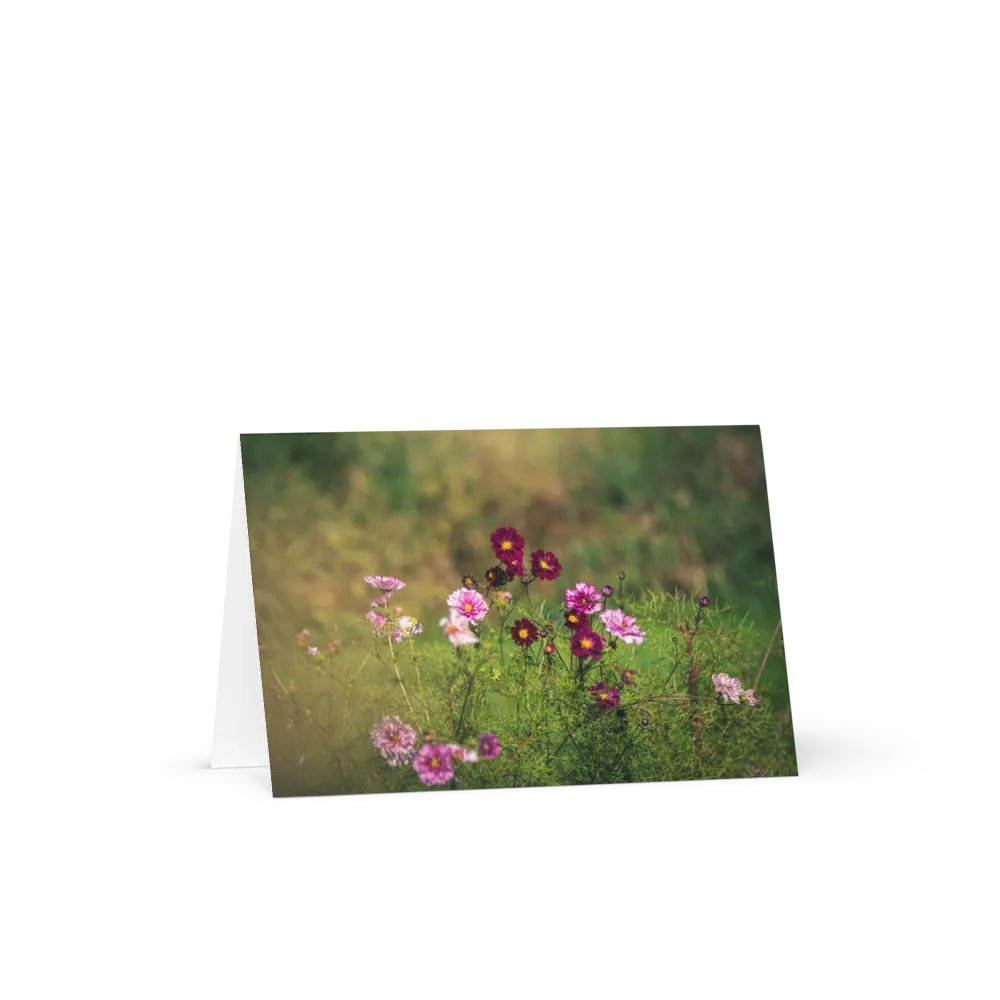 Dreamy Cosmos Field Notecard product image (2)