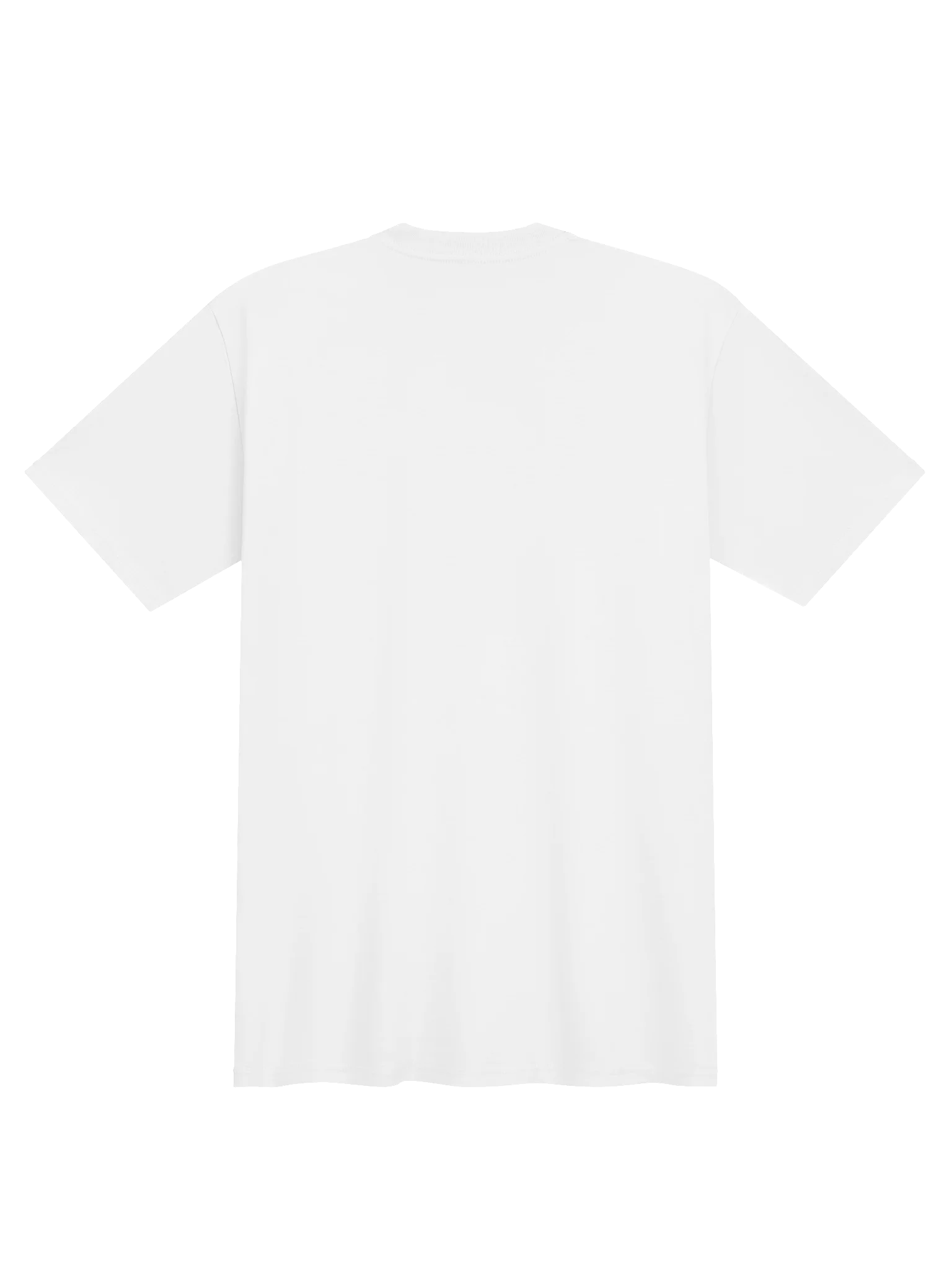 Anteduluvian Era Premium T-Shirt product image (2)