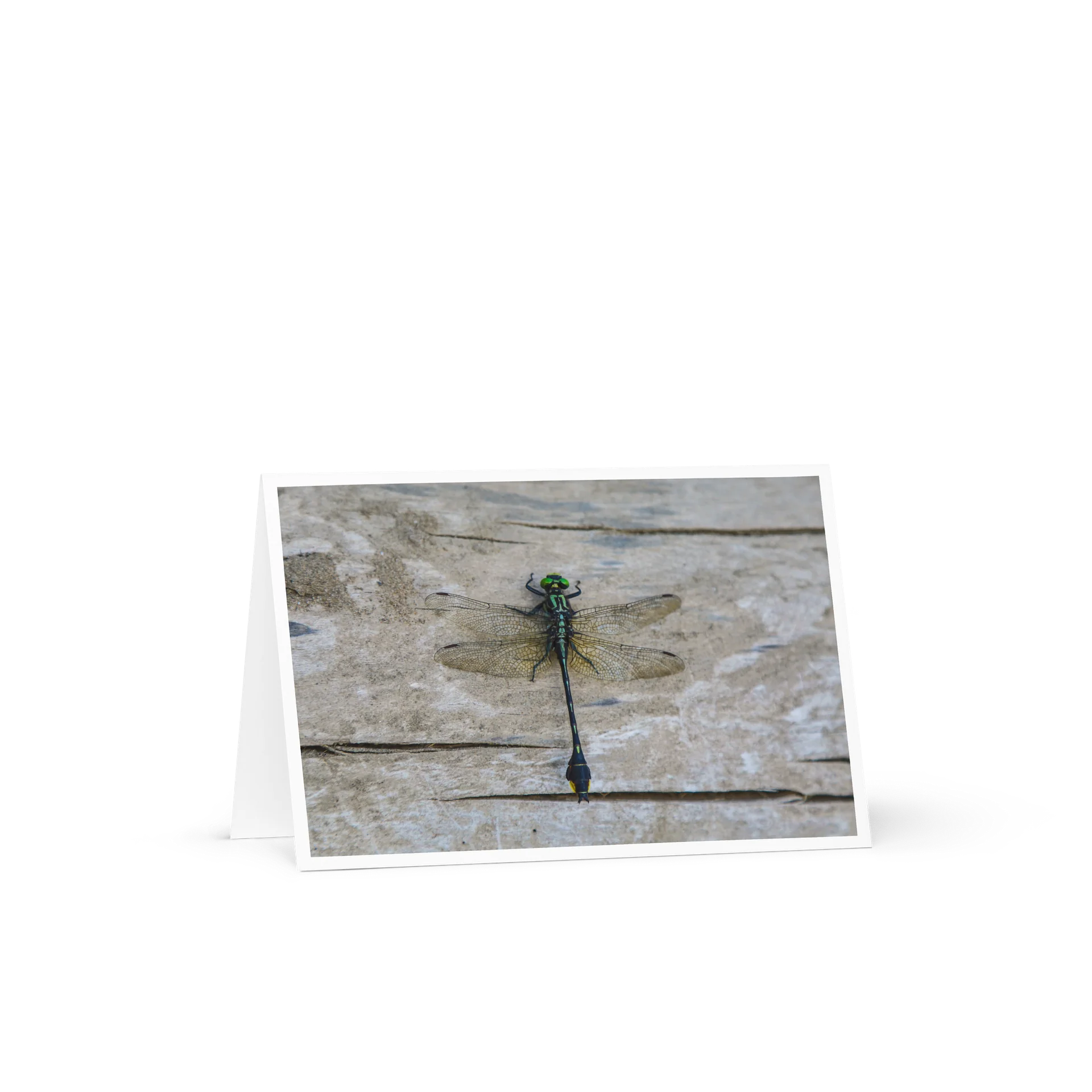 Dragonfly - Greeting Card product image (1)