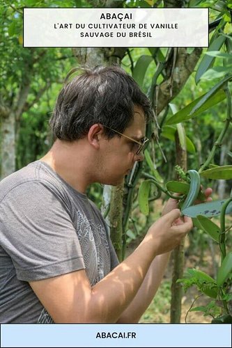 L’Art du Cultivateur de Vanille Sauvage du Brésil Bienvenue dans cette monographie exclusive. Passionné par les trésors caché...