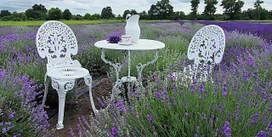 Lavender Cottage Tea & Desserts Tier tier thumbnail