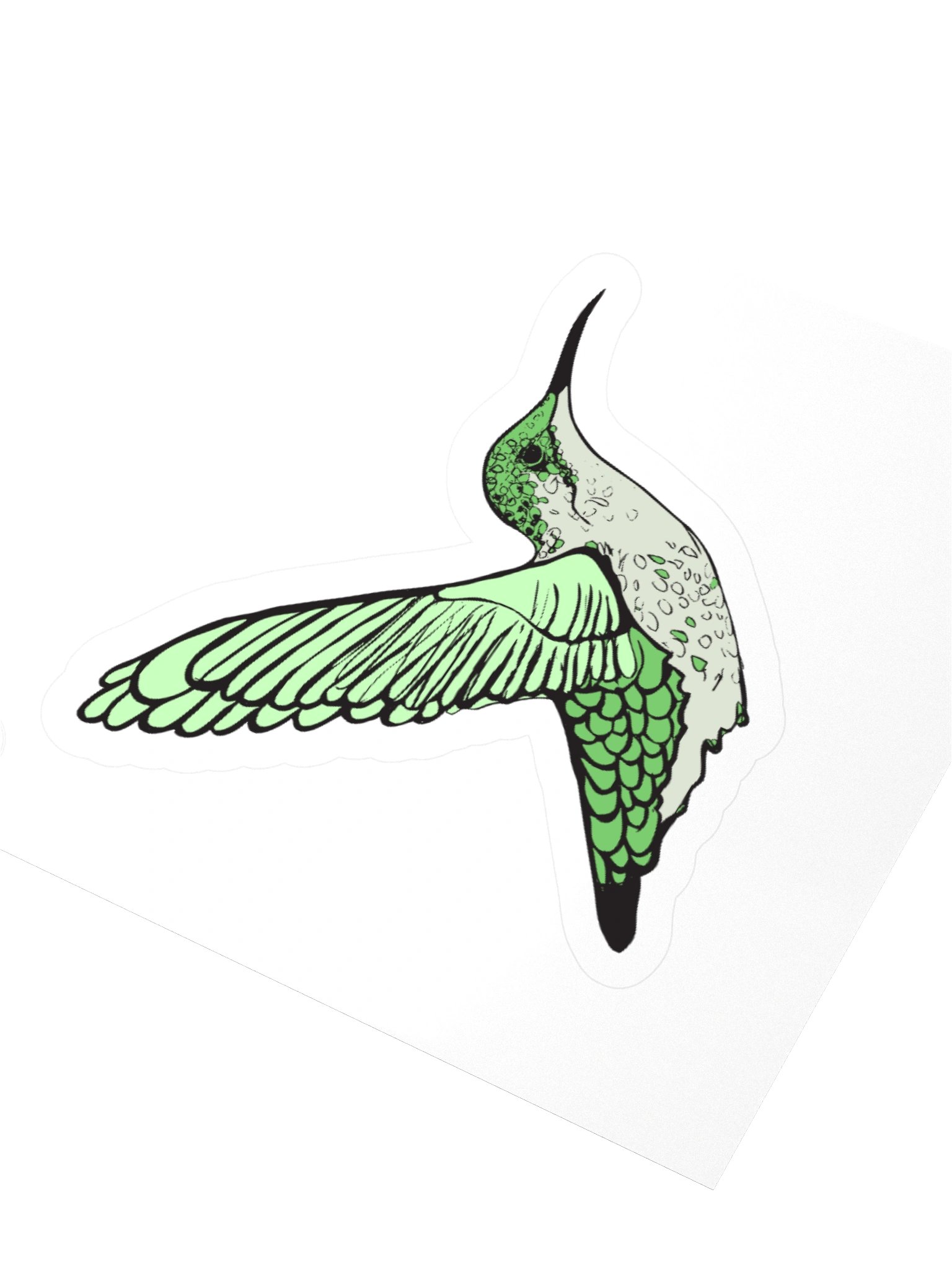 Hummingbird Sticker product image (3)