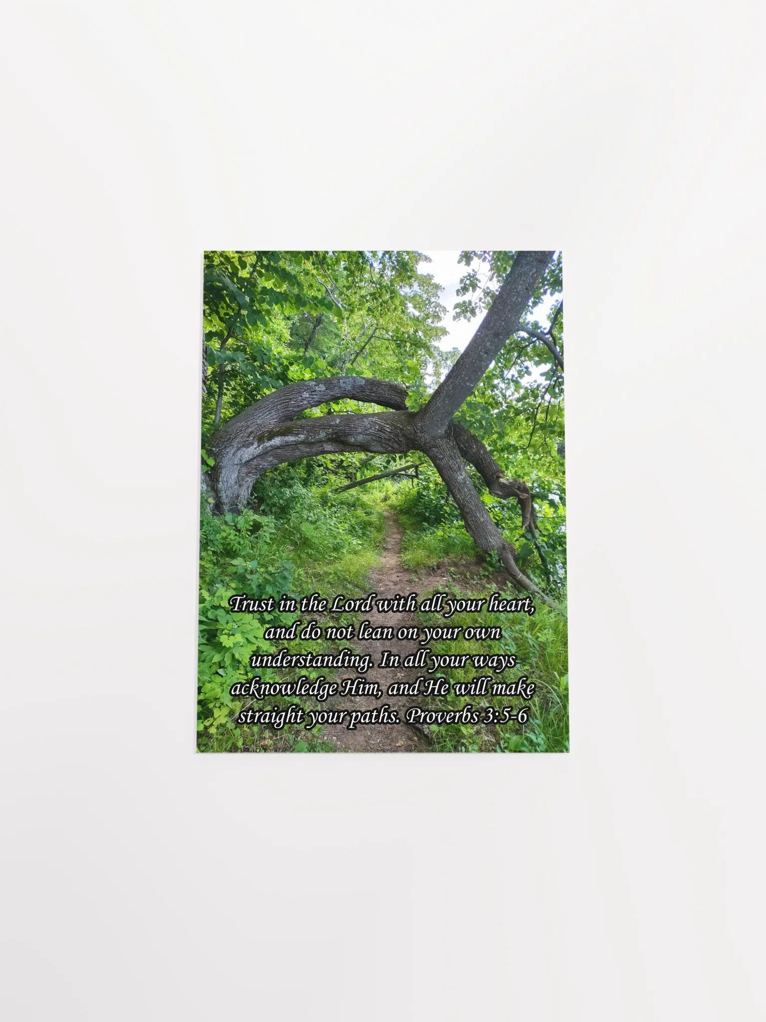 Trust in the Lord With All Your Heart - Print product image (11)