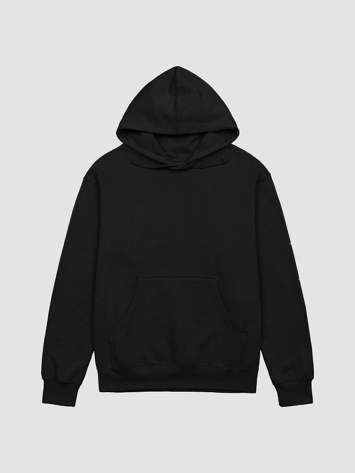 The Psychedelic Squirrel Hoodie Headshot product image (1)