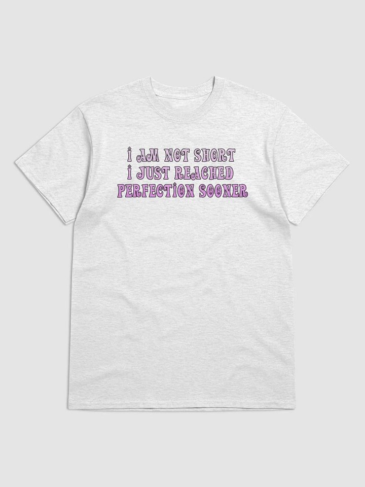 Perfection T-Shirt product image (1)